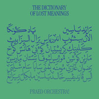 The Dictionary of Lost Meanings LP cover