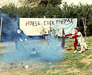 Horse Cock Phepner - color photo