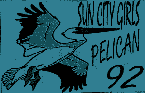 Pelican 92 - cassette cover