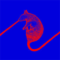 Rats Don't Eat Synthesizers LP cover